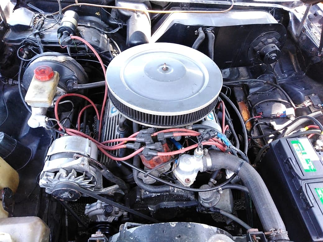 V8 engine bay with round chrome air cleaner — the kind of original mechanical parts we source